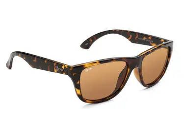 NV0113 F06 Allen SUN Str 55