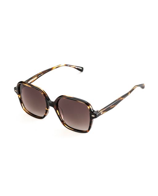 VISIONARIO SUN YANEZ C02 55-17