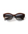 VISIONARIO SUN SWEET C03 53-17