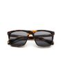 VISIONARIO SUN YORKE C02 56-18