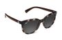 NV7618 F03 Vittoria SUN Str 55