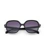 VISIONARIO SUN YANEZ C01 55-17