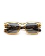 VISIONARIO SUN LYNCH C03 50-23